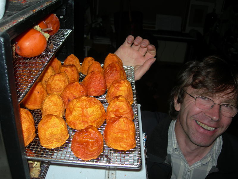 Droge persimmons