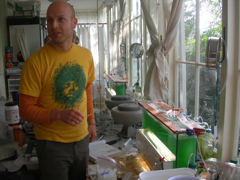 Kerel in Spirulina thuiskwekerij