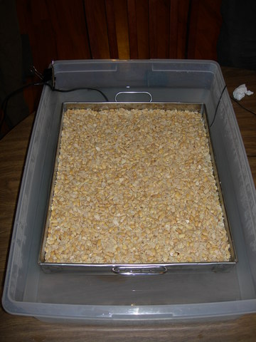 Tempeh bak in incubator