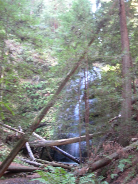 Berry Creek Waterval